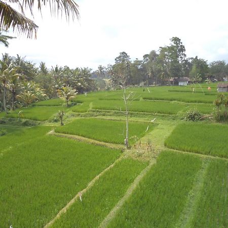 Ala'S Green Lagoon Ubud Exterior foto