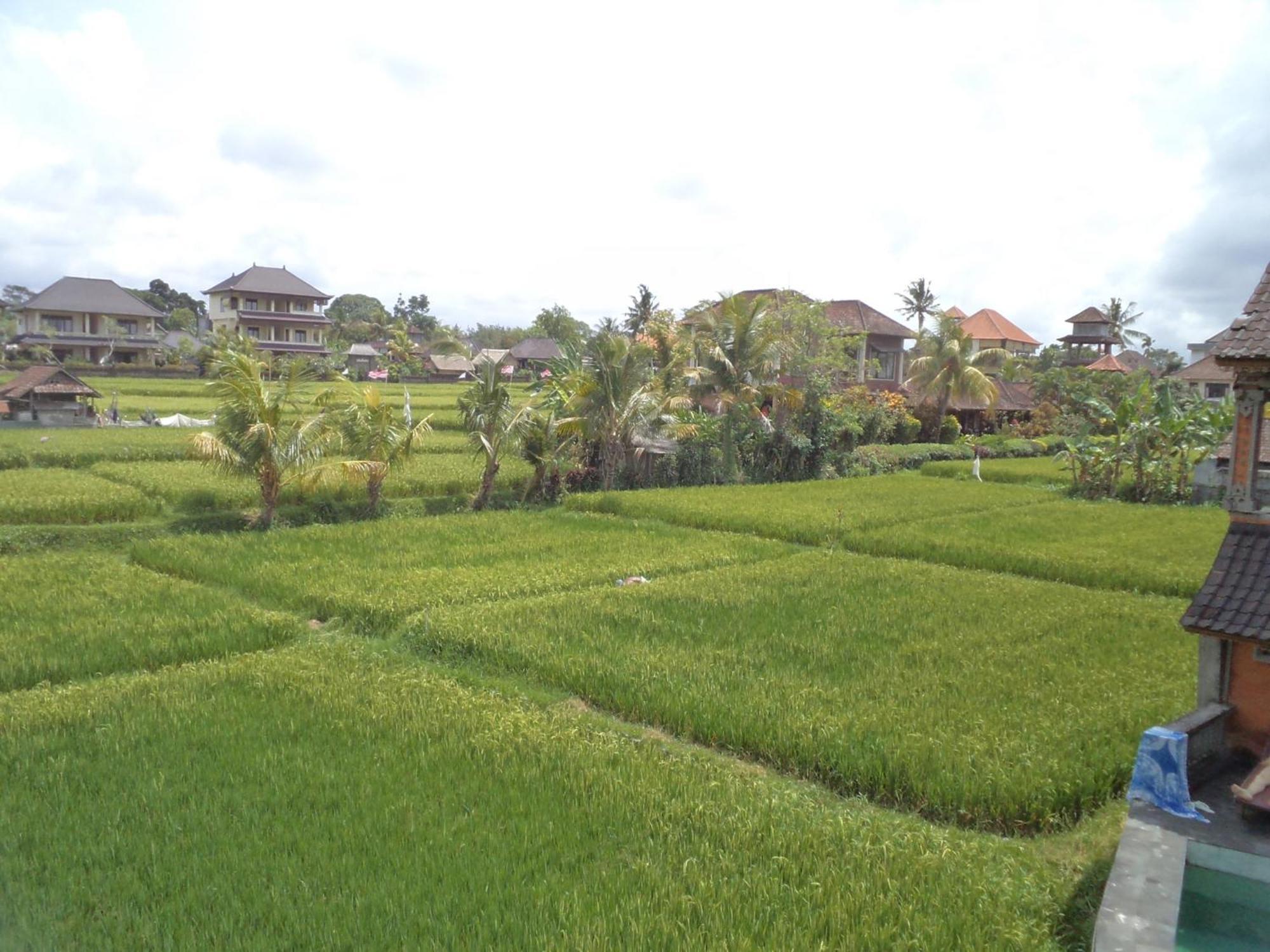 Ala'S Green Lagoon Ubud Exterior foto