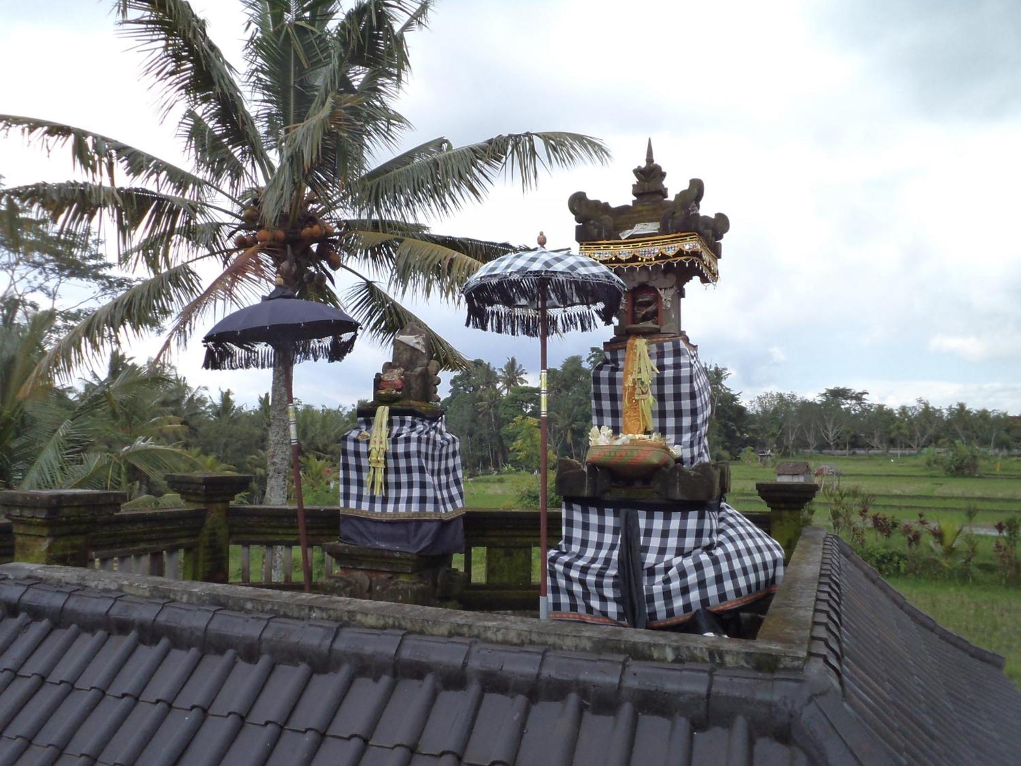 Ala'S Green Lagoon Ubud Exterior foto