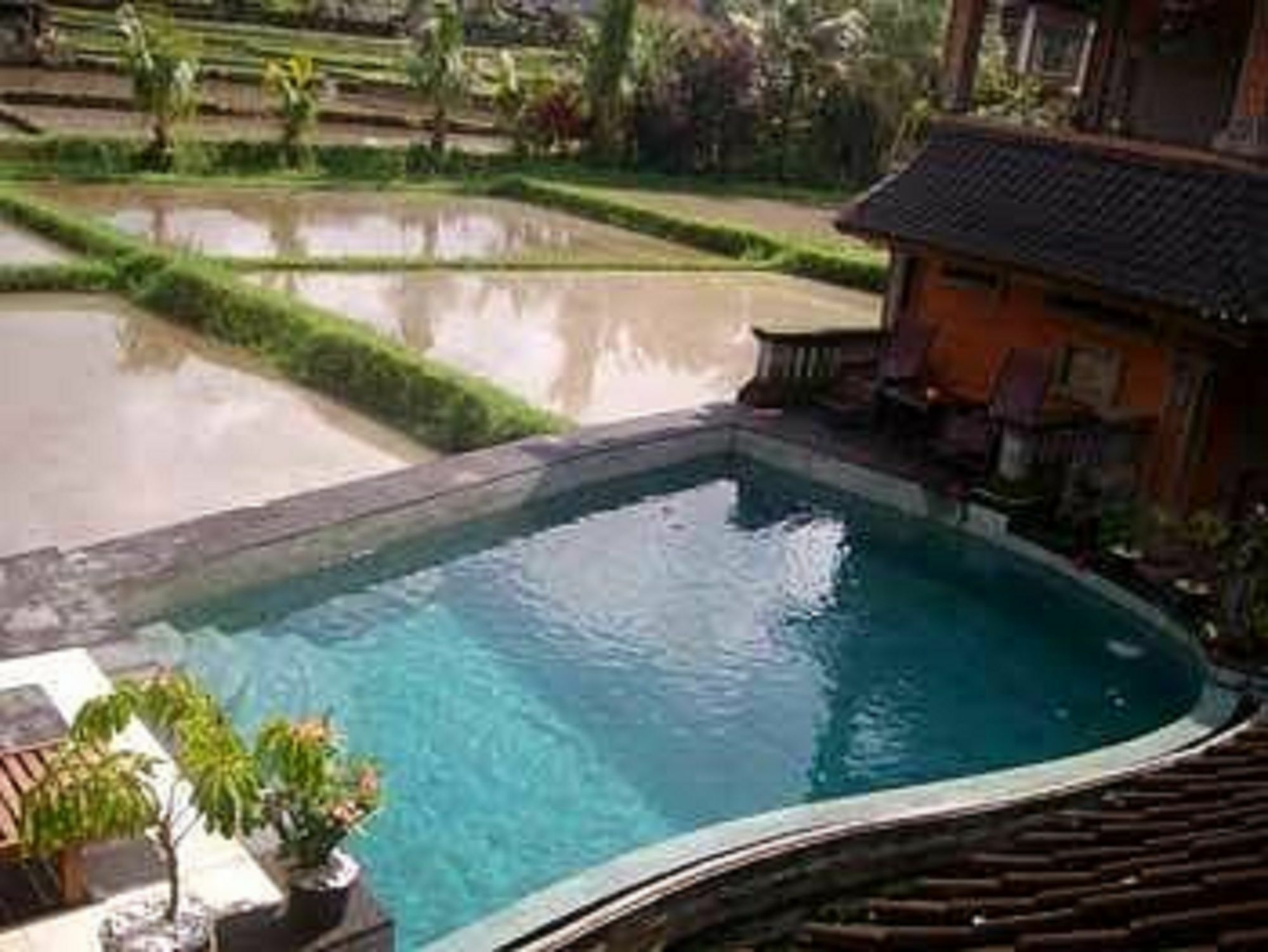 Ala'S Green Lagoon Ubud Exterior foto