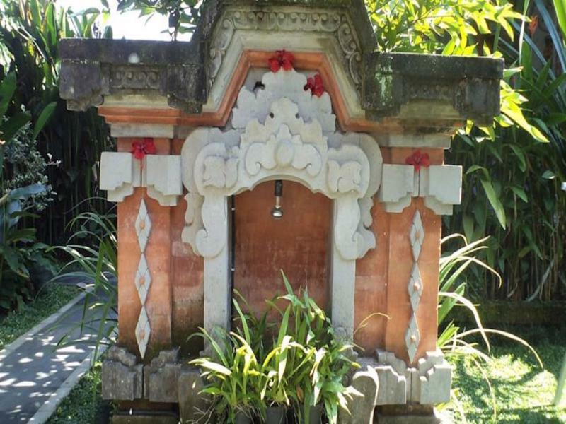 Ala'S Green Lagoon Ubud Exterior foto