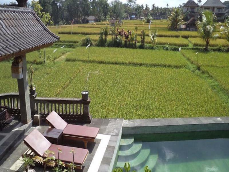 Ala'S Green Lagoon Ubud Exterior foto