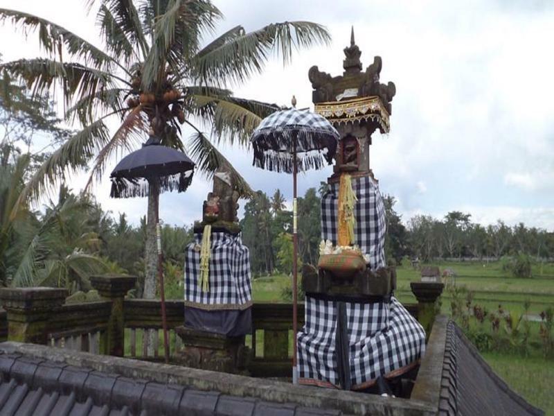 Ala'S Green Lagoon Ubud Exterior foto