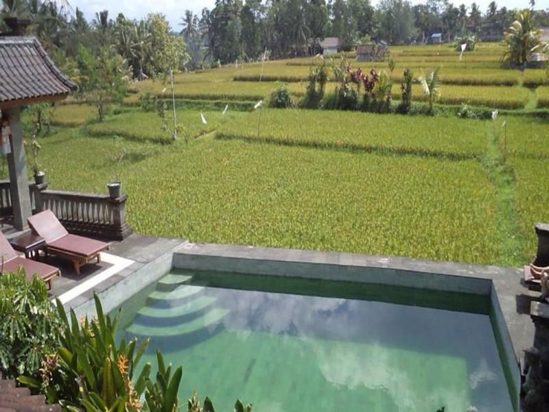 Ala'S Green Lagoon Ubud Exterior foto